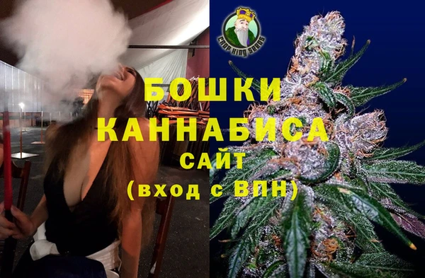 трава Аркадак